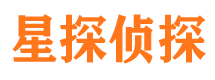 临县市调查公司